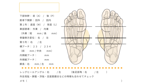 カルテのお渡し